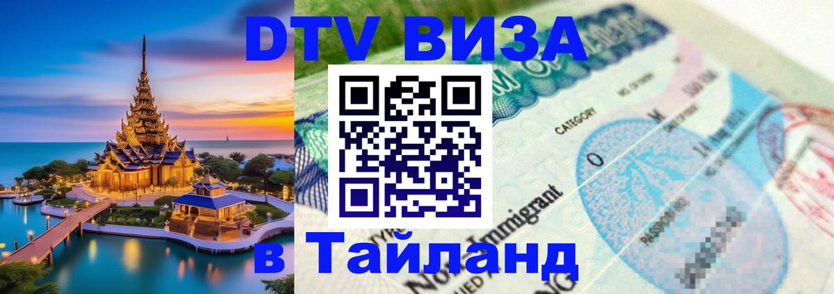 Оформление DTV визы под ключ: стоимость и тарифы, только загранпаспорт - Волгоград  20.11.2025 